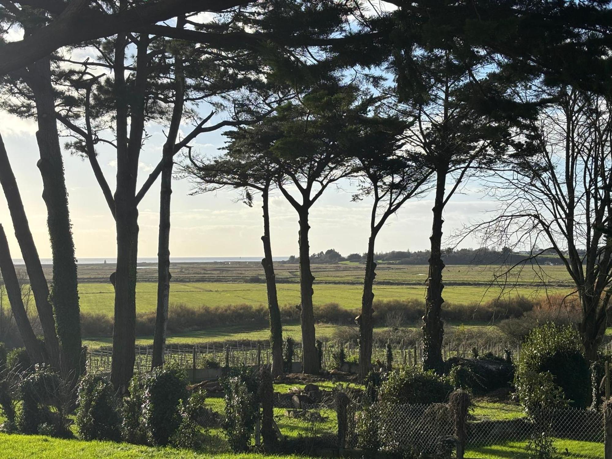 Villa Vieilles Vignes Vue Mer Billiers Kültér fotó